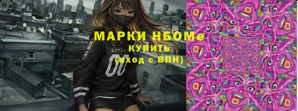 СК Богородск